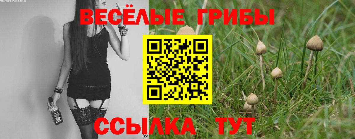 Псилоцибиновые грибы Cubensis  Вход с VPN  Гай  Псилоцибиновые грибы мухоморы 