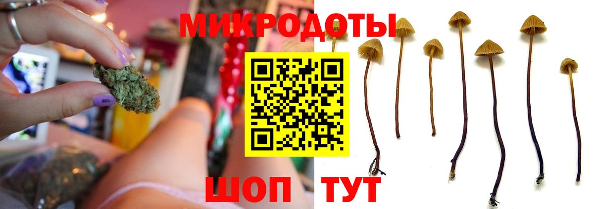 Псилоцибиновые грибы прущие грибы Гай