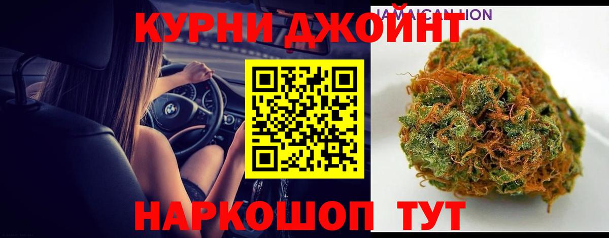 Конопля марихуана Гай